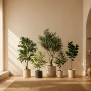 Rootless Plants